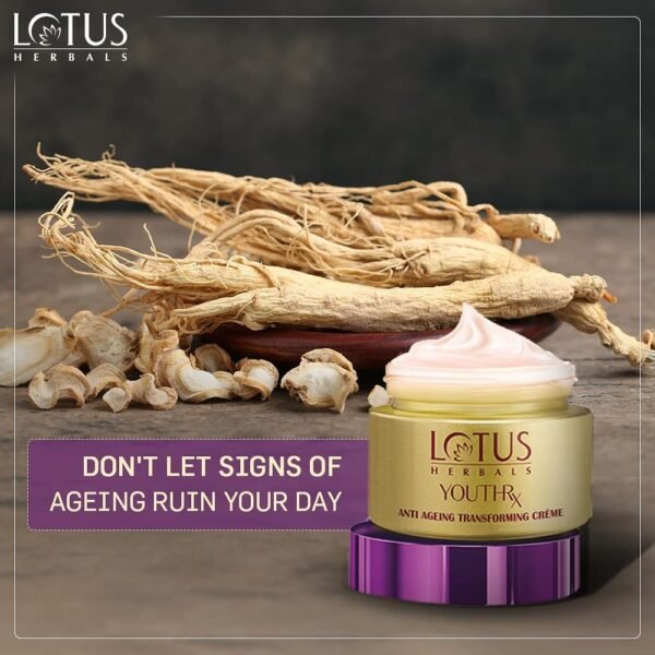 Lotus Herbals YouthRx Night Cream - Image 3